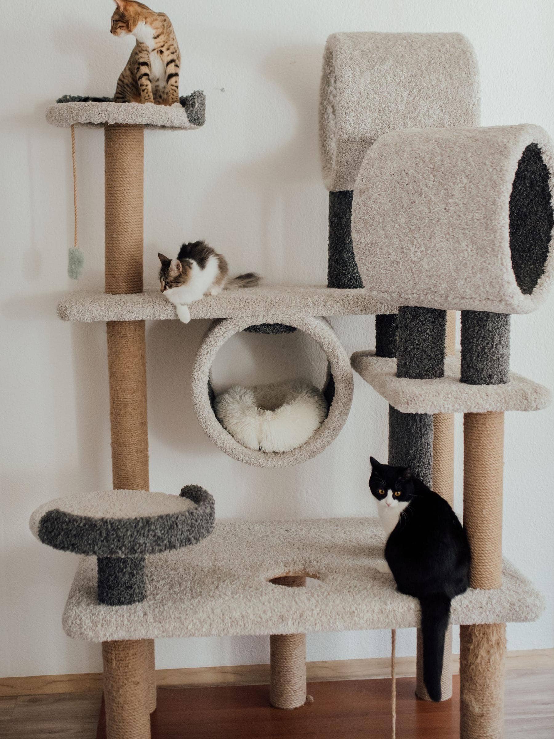 Großer Kratzbaum mit Höhlen und Liegeflächen, drei Katzen darauf verteilt